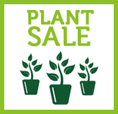 Plant Sale - Cake and Coffee!